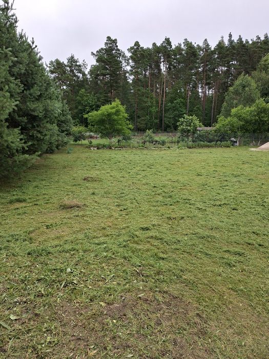 Koszenie działek i trawników