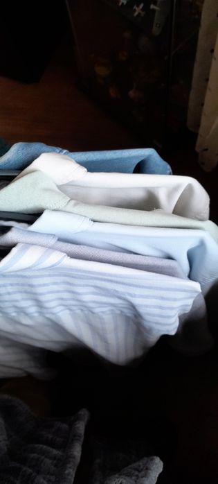 Camisas da Springfield