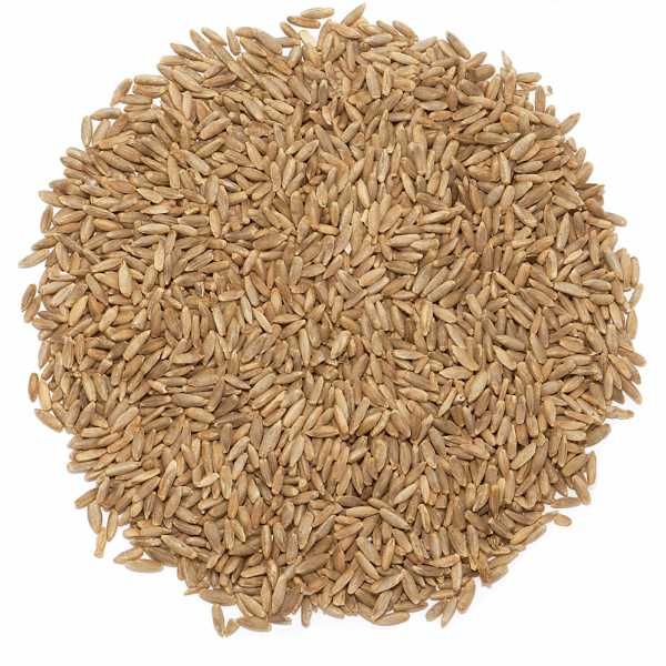 Ekologiczne żyto – certyfikat Agro Bio Test