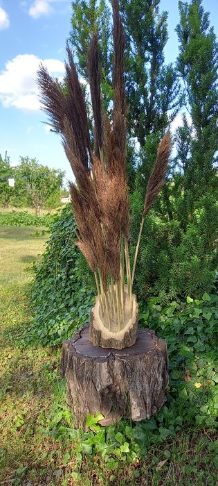 Композиции изделия с  камыша очерета