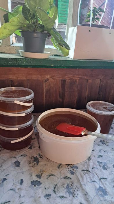 Пропоную лісовий липовий мед, 2025.