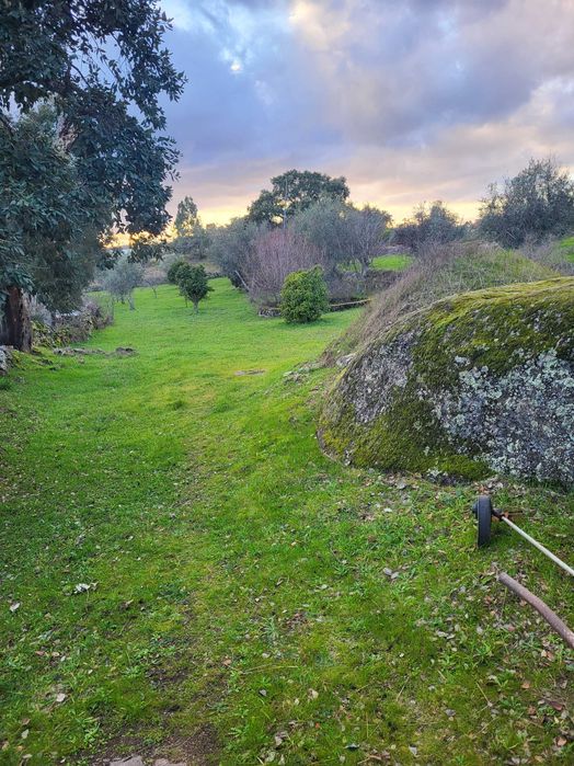 Terreno em cafede castelo branco