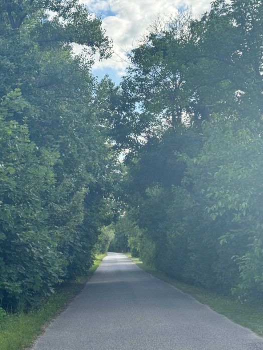 Zygumntowo gm Wilczyn działka sprzedam działki rekreacyjne blisko jeziora Wilczyńskiego - Widok 5