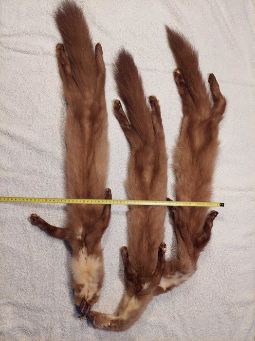 Gola Vintage de Vison – Meados do Século XX