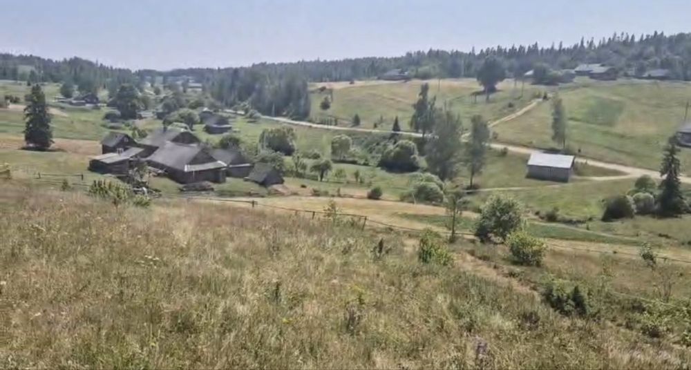 Земельна ділянка у Карпатах, біля Плаю, Криве
