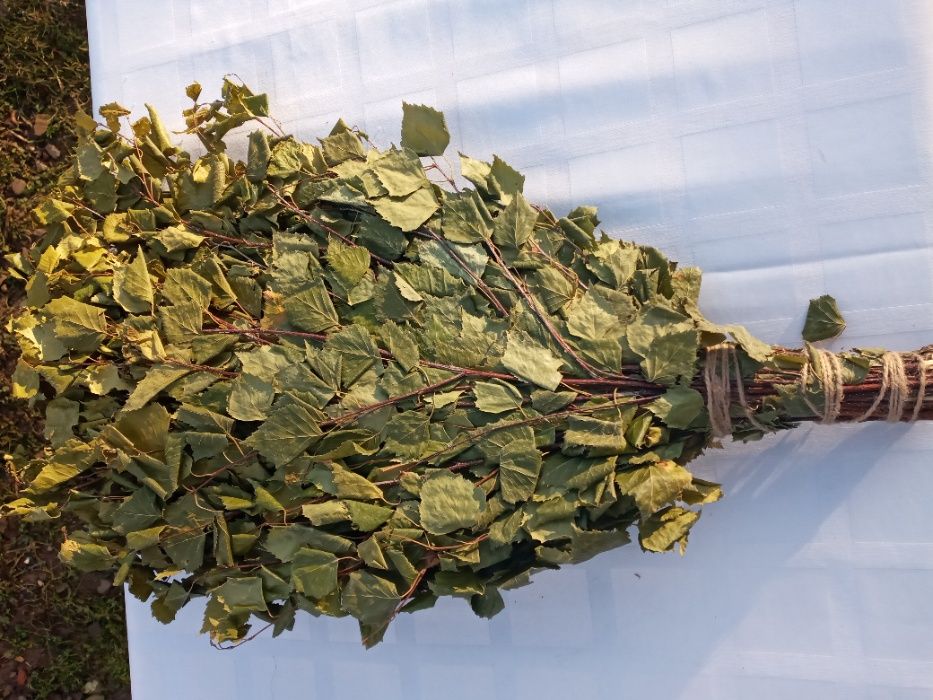 ВІники в баню сауну Дуб Береза Липа Ялина 10/5/50