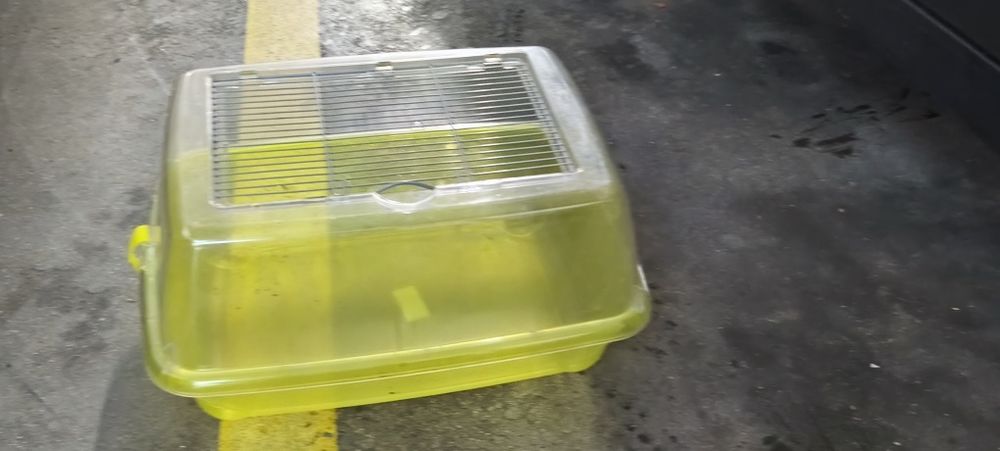 Aquário para tartarugas