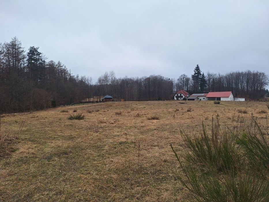 Sprzedam działkę budowlaną