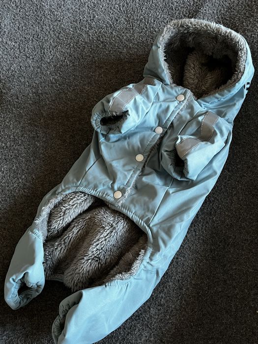 Костюм для собаки