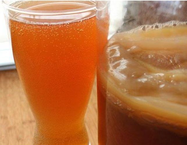 Чайний гриб. Комбуча.