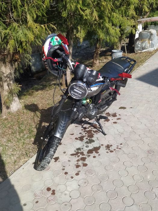 В продажі альфа мустанг 125