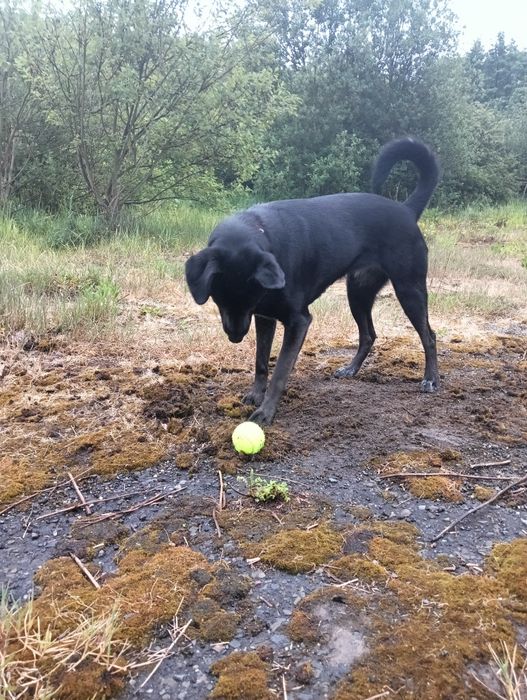 Tami jak błyskawica
