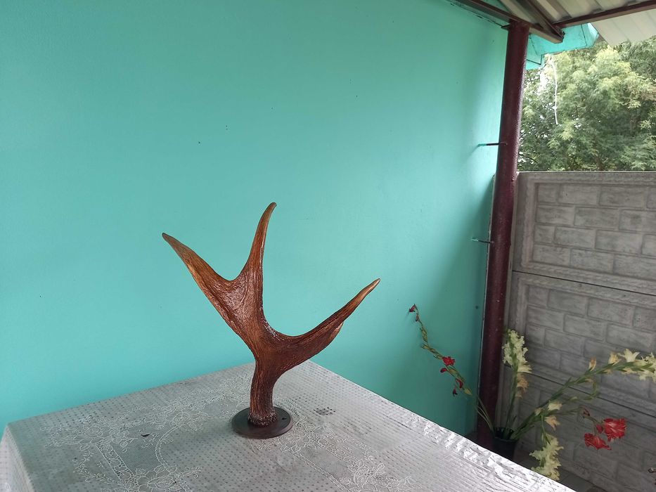 Продам рог на подставке