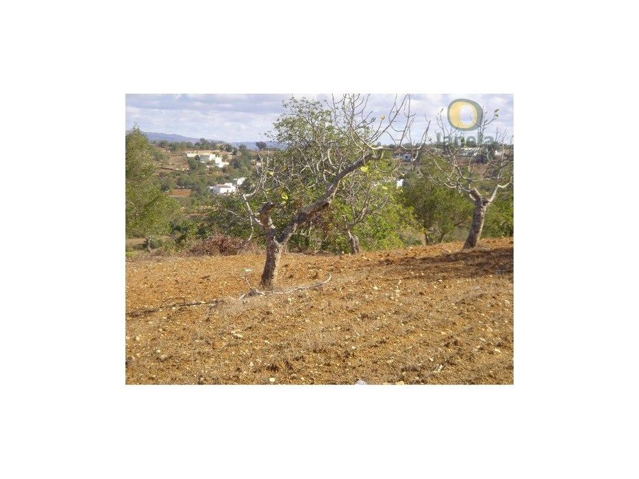 Terreno com bons acessos
