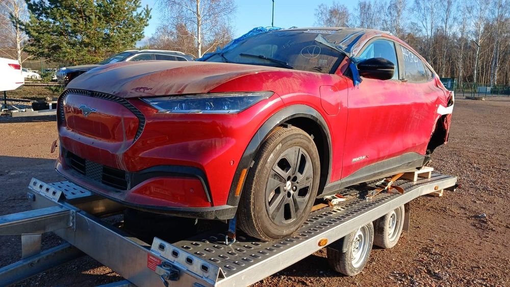 Дверка,  четверть Ford Mustang Mach-e