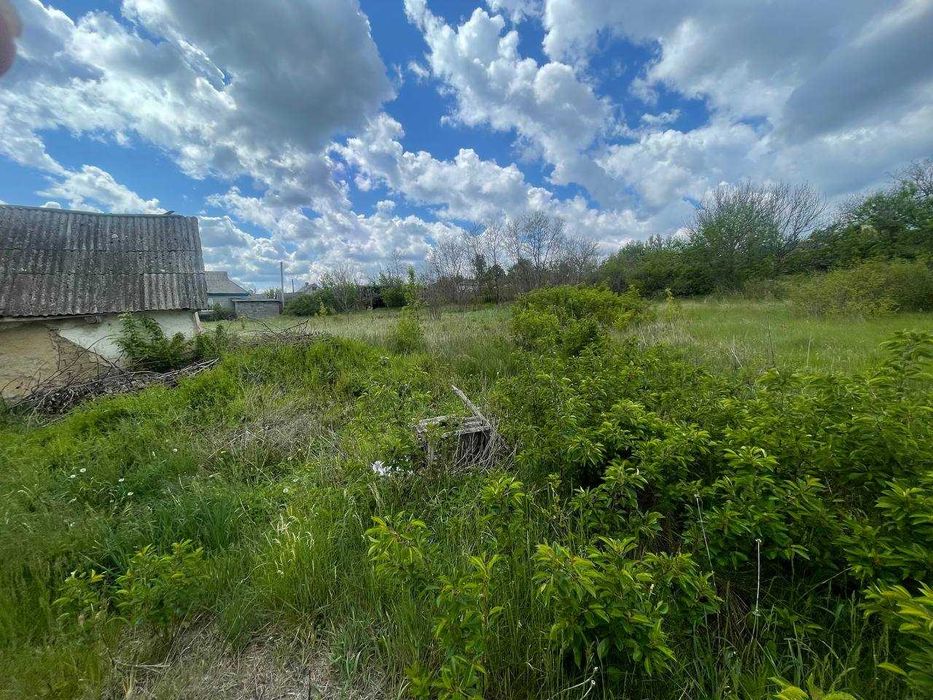 будинок пів будинку