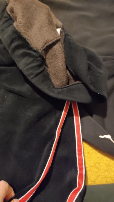 Штани і лосини жіночі S-м