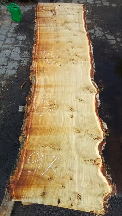 Foszty topola Długość 390 cm na stół monolit