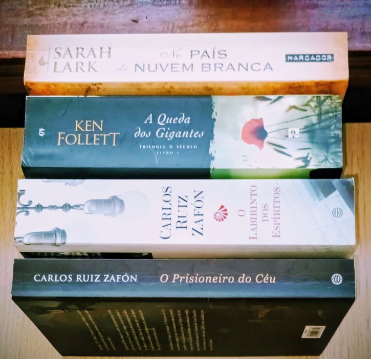 Livros diversos em bom estado