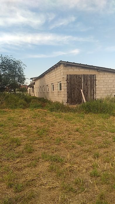 Gospodarstwo rolne 9 ha