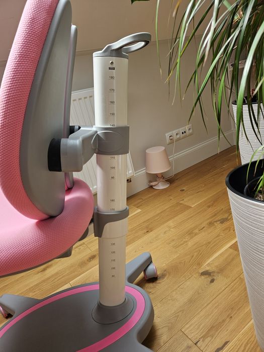 Krzesło ergonomiczne dla dziecka Fun Desk Bello II Pink