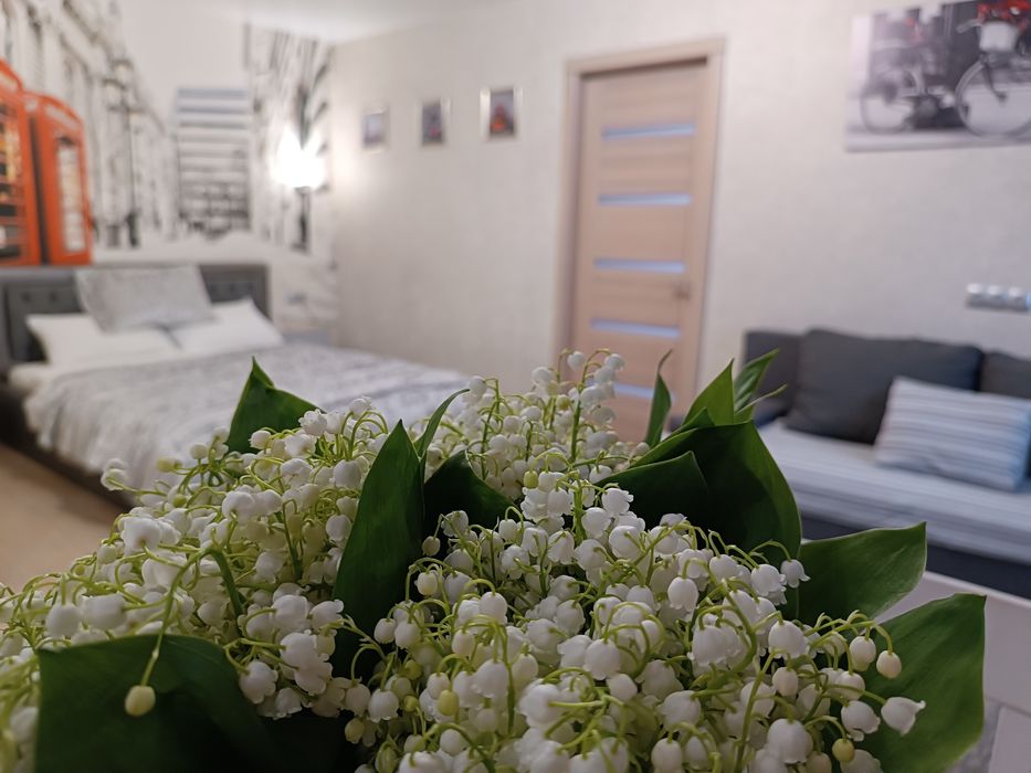 Квартира в Центрі Люкс 2х кімн. Перемоги 103