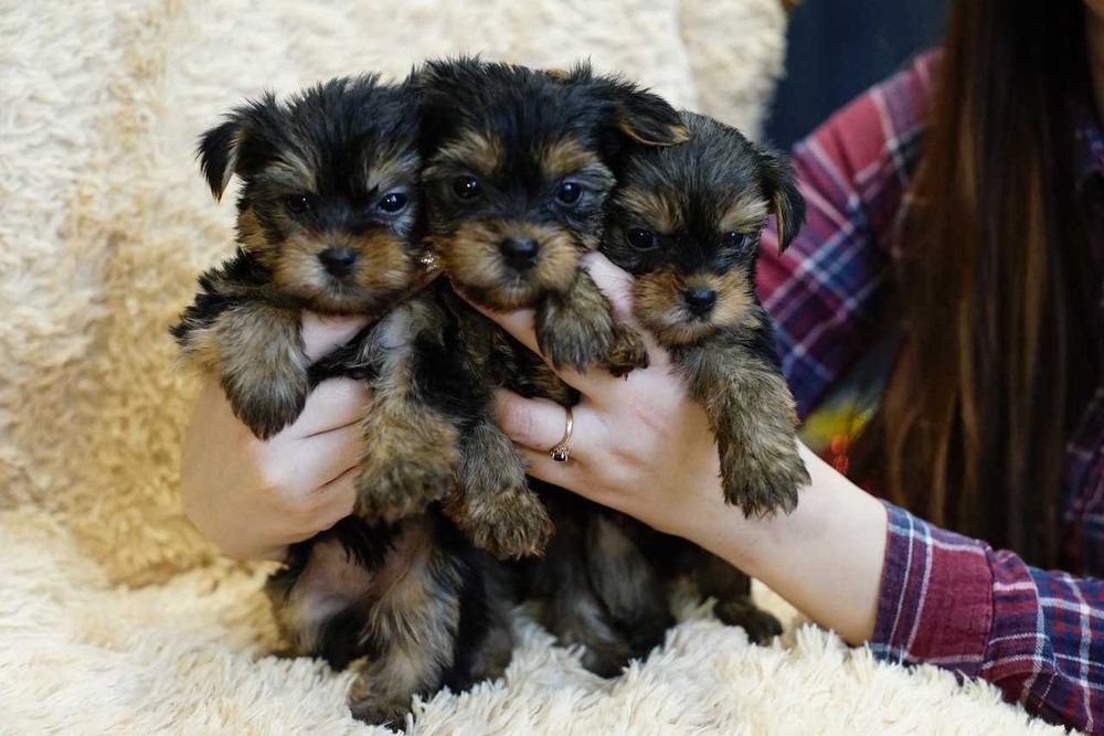 Невероятно красивые и нежные детки