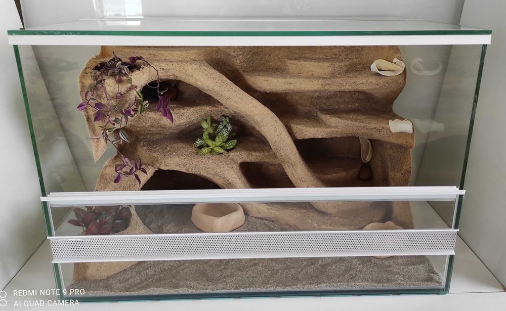 Terrarium dla pytona węża gekona, TW22P3R, AquaWaves