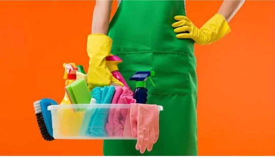 Limpeza doméstica / Empregada doméstica