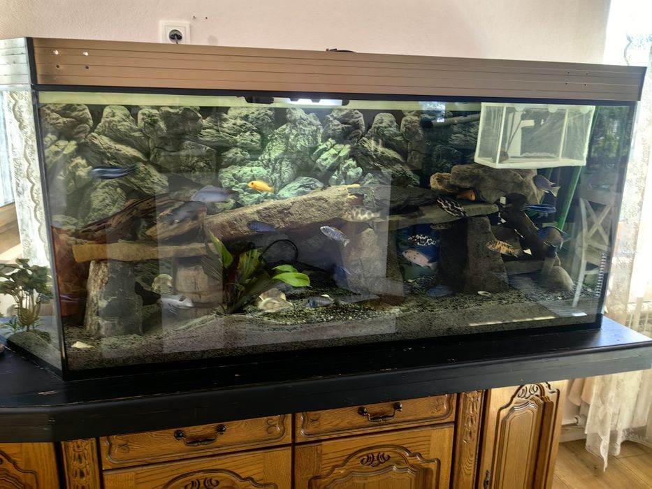 Akwarium 500l (167x50x65)