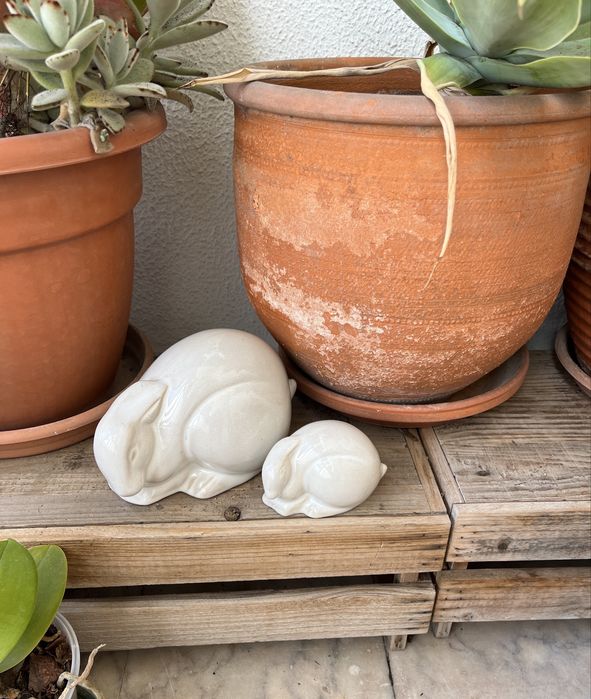 Dois coelhos para decoração