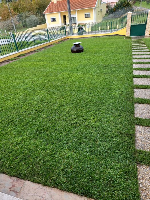 Relva natural em tapete