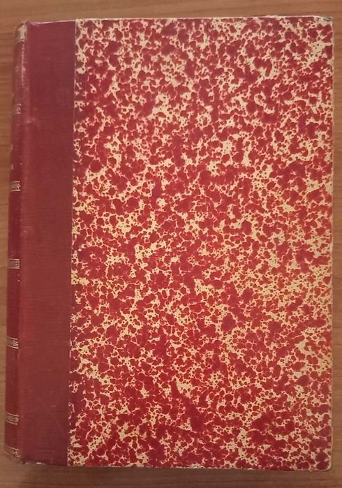 Os Martyres da Revolta por Faustino da Fonseca (1911)