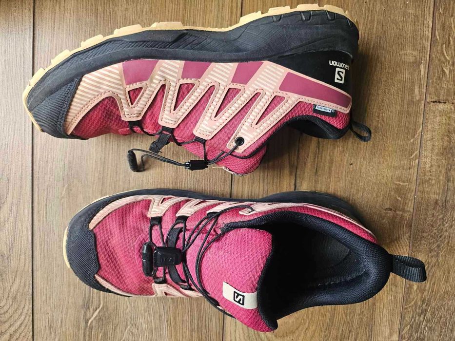 SALOMON XA Pro 39