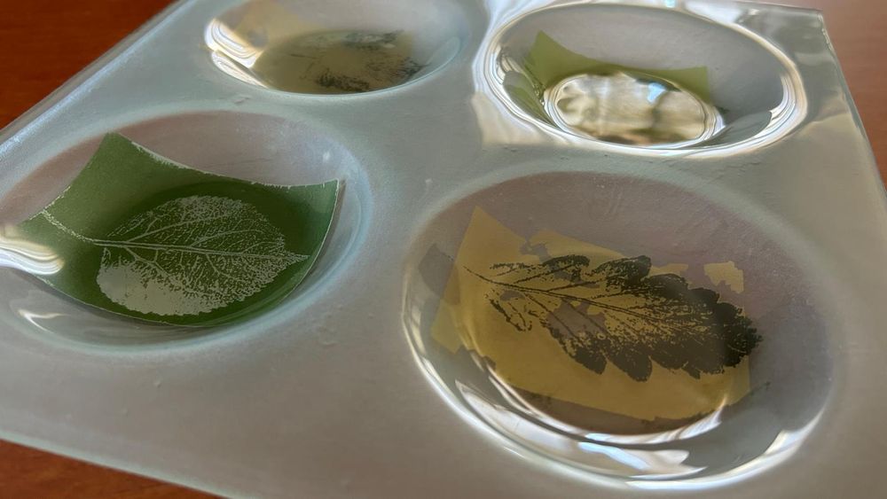 Prato decorativo com folhas - 4 Divisórias