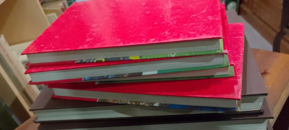 A Selecção Nacional de Futebol / O Campeonato do Mundo de Futebol