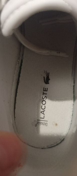 Buty Lacoste noszone 2 razy stan igiełka