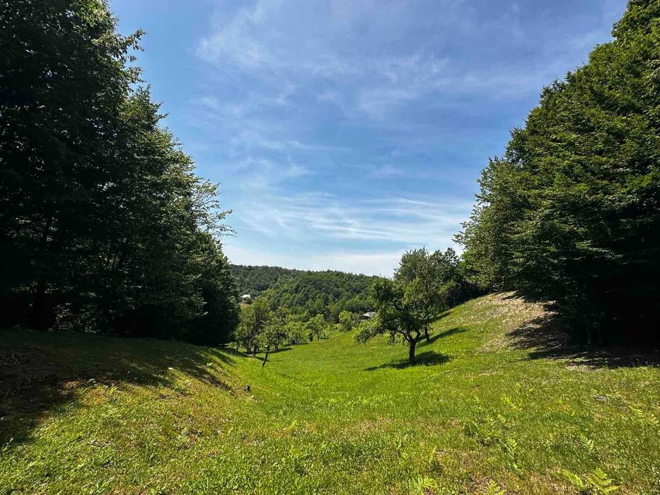 Продається старий будинок з великою земельною ділянкою