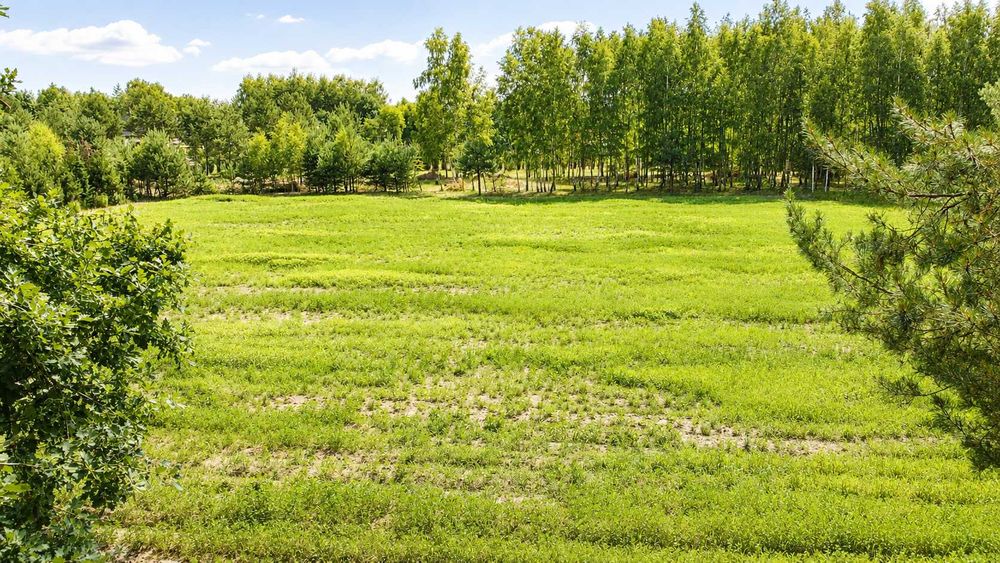 Działka budowlana 3000 m² przy lesie - Anielin Swędowski, gm. Stryków