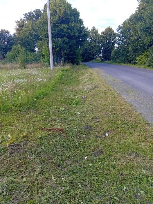 Koszenie Trawy | Karczowanie | Sprzątanie Działek i Ogrodów | Tczew