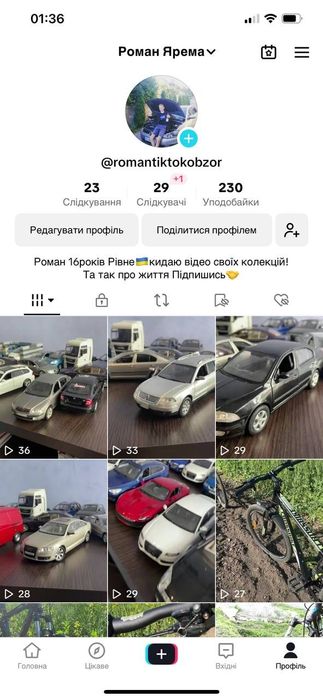 Машинки моделькі 1.24 моделі Welly Skoda