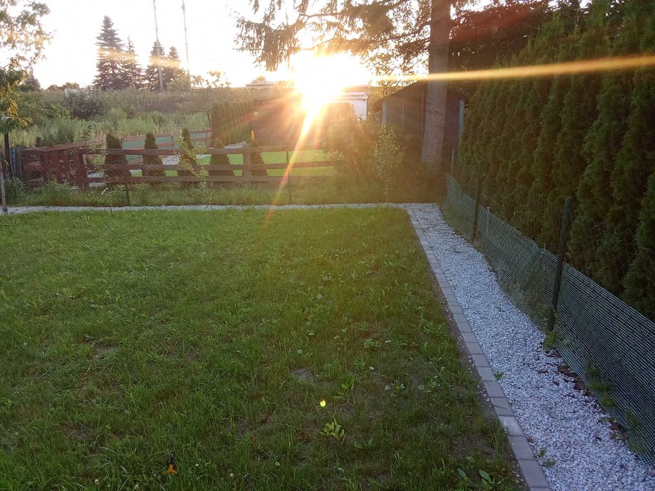 Dzialka ROD Cukrownik w Kościanie