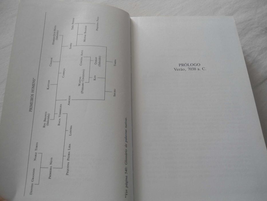 Meu Irmão o Vento por Sue Harrison