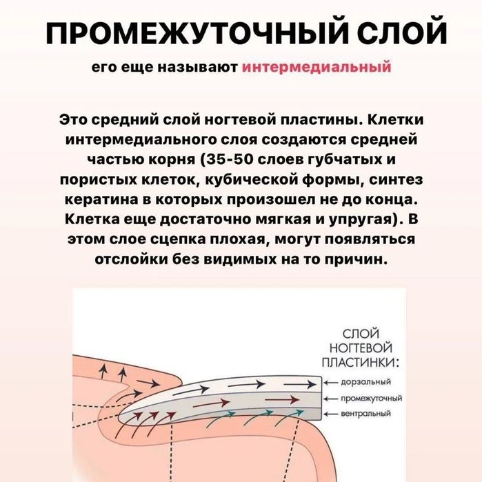 Курсы маникюра для начинающих мастеров
