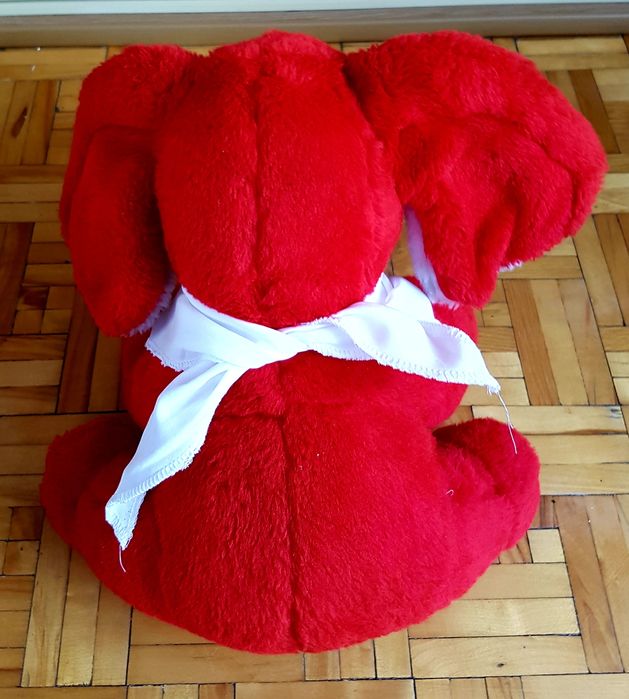 Słoń Toyota Katowice