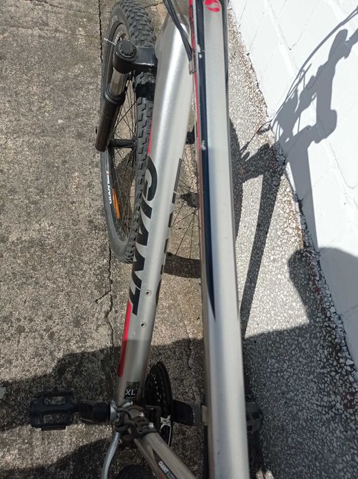 Świetny Rower Giant