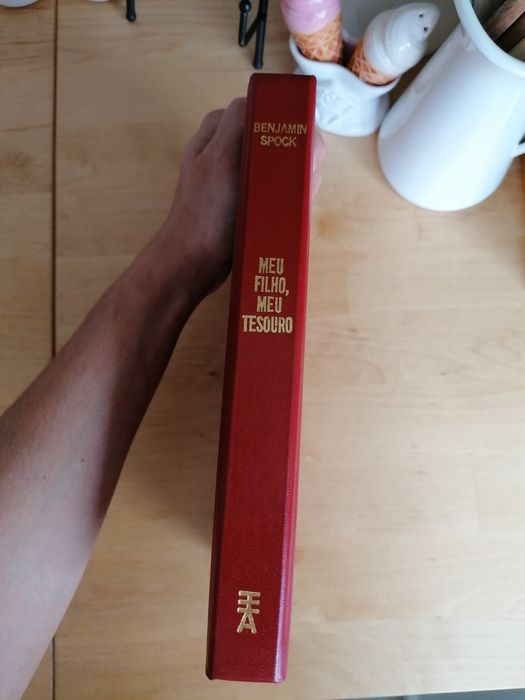 Meu filho, meu tesouro, Benjamin Spock | Grávida, livro instruções