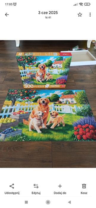 Puzzle Trefl 300