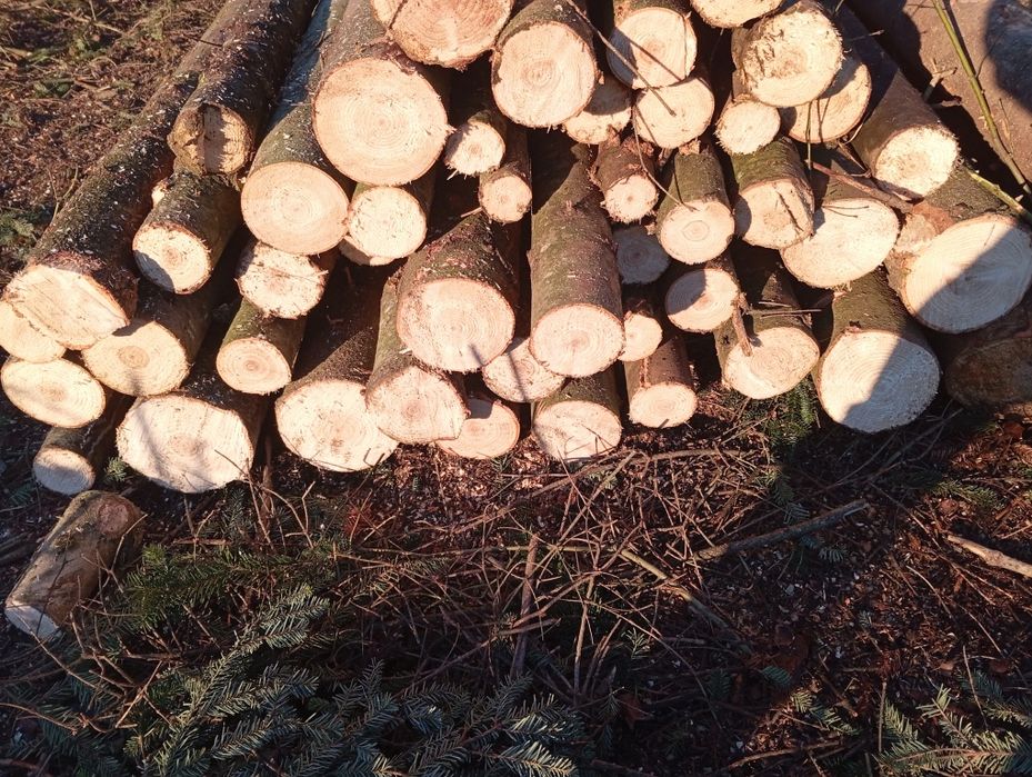 Nowe stemple budowlane