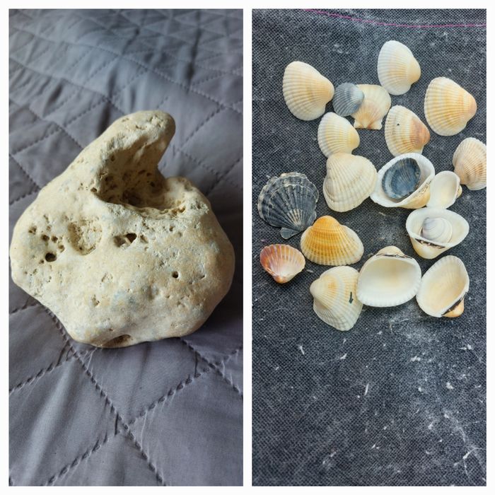 Акваріумні аксесуари камінь, ракушки  з Севастополя !